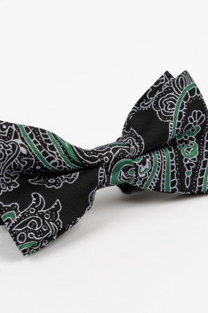 Papion GAMA Negru cu Model Paisley Alb și Verde [1]