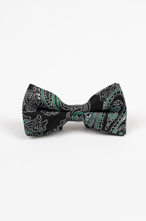 Accesorii - Papion GAMA Negru cu Model Paisley Alb și Verde