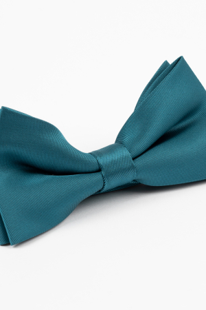 Papion GAMA Turcoaz [1]