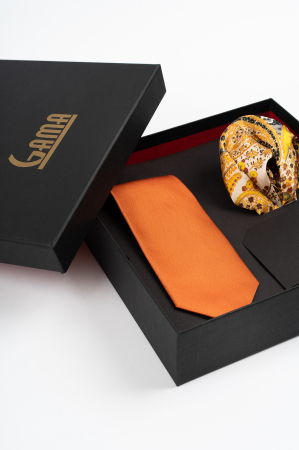 Set Cadou Premium GAMA - Cravată & Batistă Portocaliu Vibrant [1]
