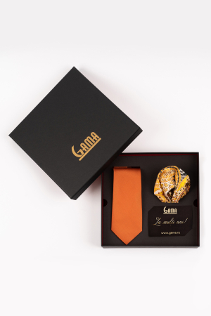 Accesorii - Set Cadou Premium GAMA - Cravată & Batistă Portocaliu Vibrant