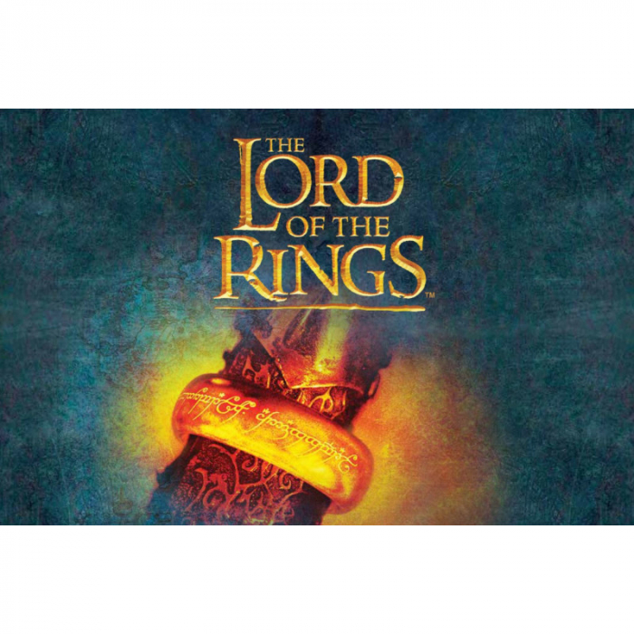 Joc Lord Of the Rings - Race to the Mount Doom, pentru 2-4 jucatori de peste 10 ani [2]