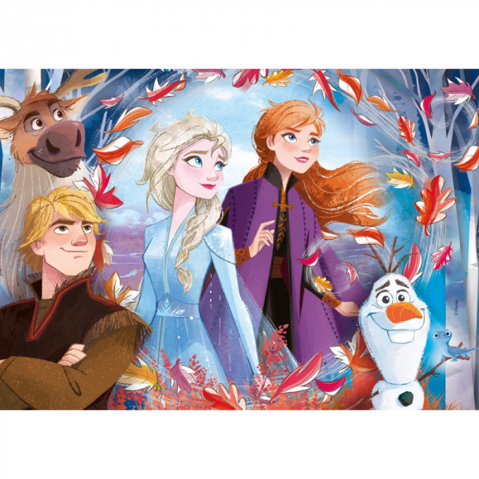 Set 4 Puzzles Clementoni, Supercolor Puzzle, Frozen 2 - 2x20 piese si 2x60 piese, pentru copii de 3-5 ani [2]