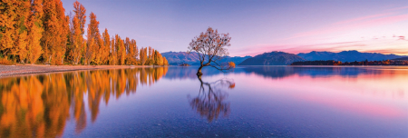 Puzzle Clementoni High Quality Collection "Lake Wanaka Tree", 1000 piese, panoramic, dimensiuni 98 x 33 cm [1]