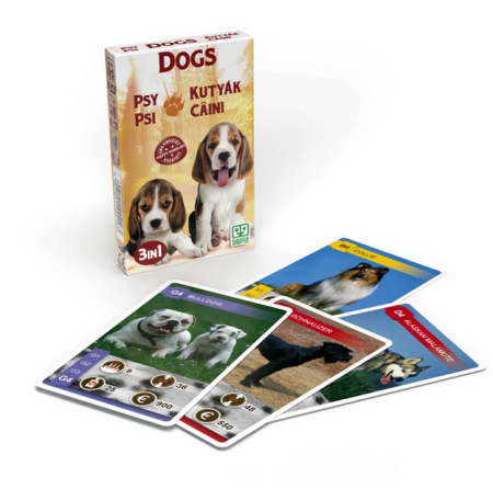 Cardgames - Set 3 jocuri cu carti intr-un singur pachet - Tema Catei