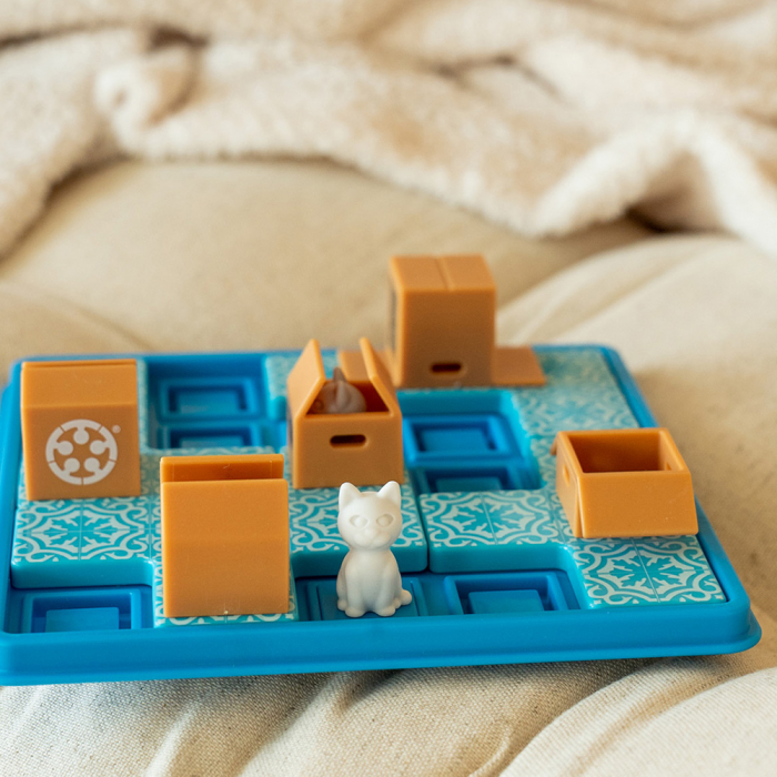 Cats and Boxes (RO) [5]