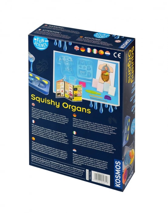 Set educativ STEM - Organe Squichy [4]