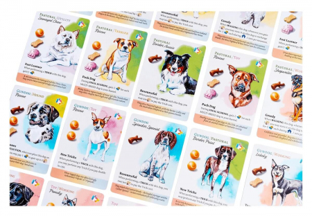 Dog Park - Extensie New Tricks + Collector's Upgrade and KS Pack (EN) [4]
