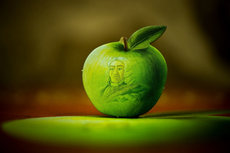 Newton  - Joc de Societate [8]