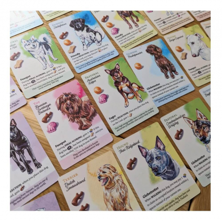 Packet Dog Park (RO-EN) - Colectia completa [7]
