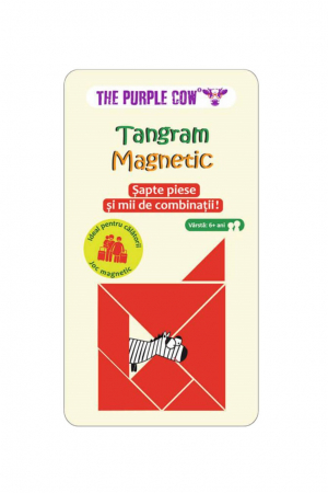 Jocuri de perspicacitate - Tangram Magnetic (RO)
