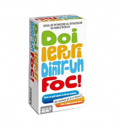Jocuri de petrecere - What Do You Meme - Doi iepuri dintr-un foc (RO)
