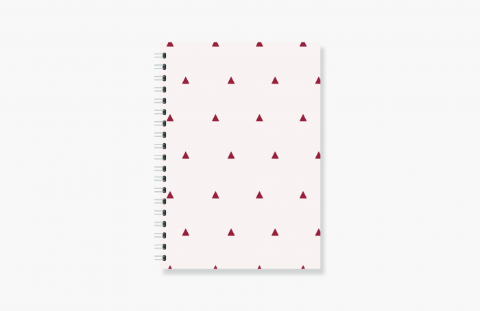Notebook - Triunghi [1]
