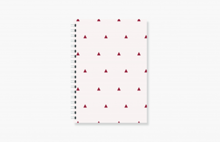 Notebook - Triunghi [0]