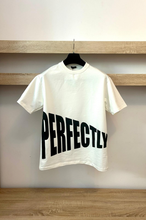 COMPLEU IMPERFEC ALB [2]