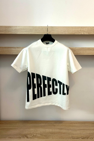 COMPLEU IMPERFEC ALB [1]