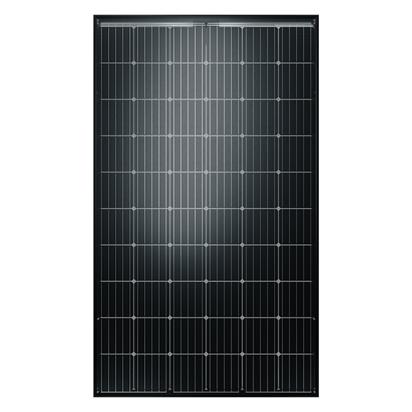Panou fotovoltaic sticla 60M 310W all-black [1]