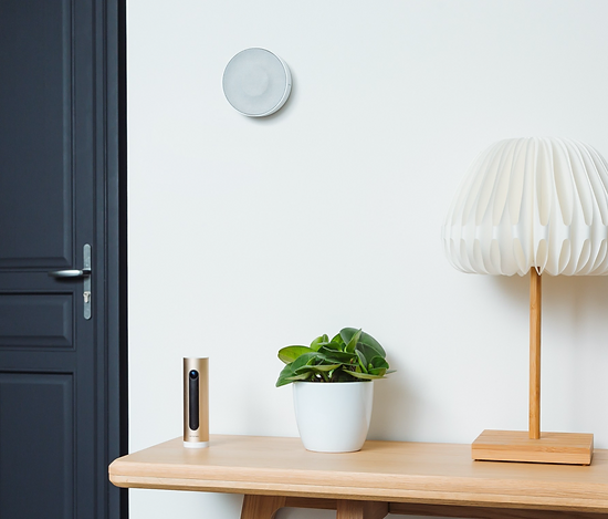 Sirenă inteligentă Netatmo NTM0051 [3]