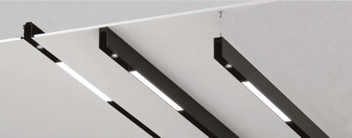 Sina magnetica 2000x53x26 [2]