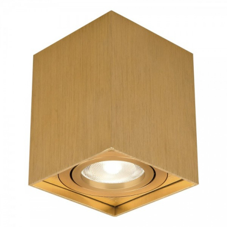 Spoturi / Proiectoare - Corp patrat 1XGU10 Auriu, spot led auriu