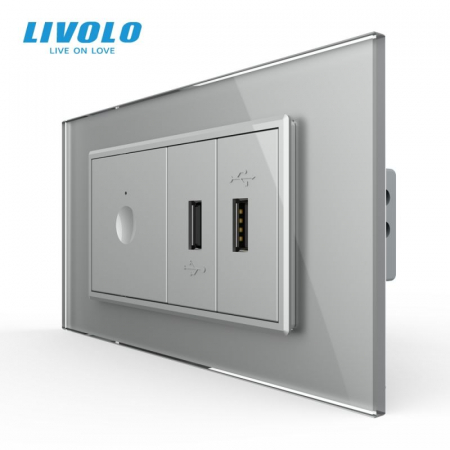 Prize Schuko - TV / Date / Media - Intrerupator tactil simplu + priza dubla USB, 4M, cu rama sticla VL-FC1-2FCUS-2WP-P9E