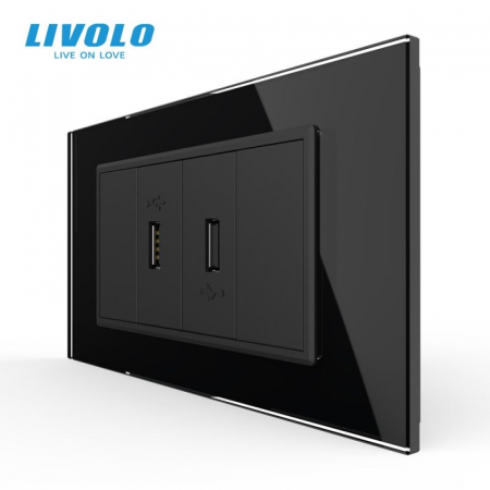 Prize Schuko - TV / Date / Media - Priza dubla USB, 4M, cu rama sticla VL-2FCUS-1WP-P9E-2FCMB