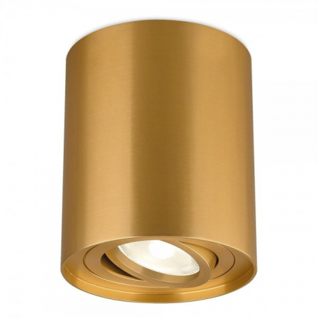 Spoturi / Proiectoare - Spot led rotund  1XGU10 auriu