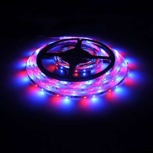 Banda Led - banda led