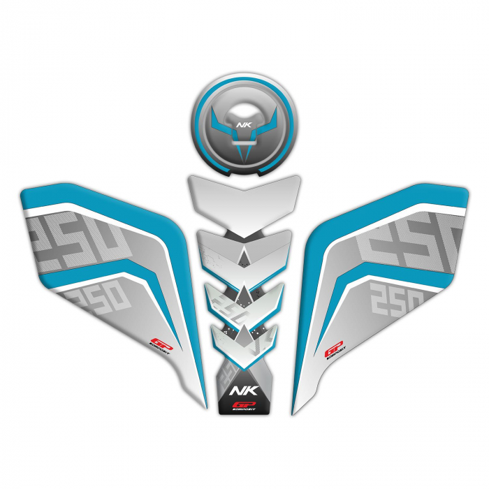 CFMOTO 250 NK 250NK / 300NK         [1]