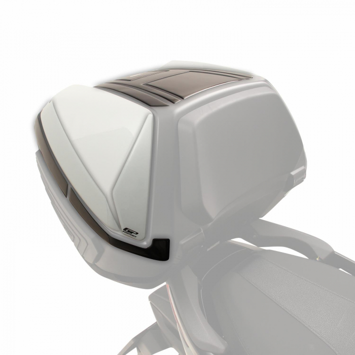 HONDA FORZA Forza 250 / Forza 300 / Forza 350 / NSS300 / NSS350         [4]