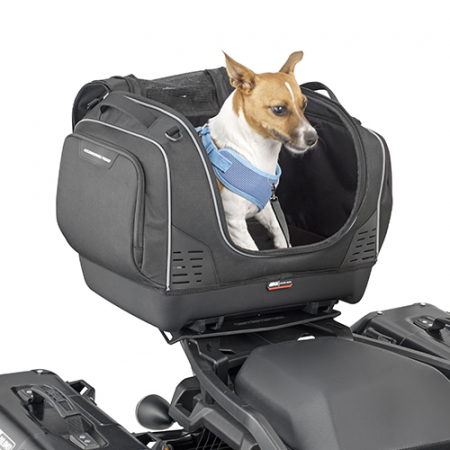 Geanta transport animale companie           [2]