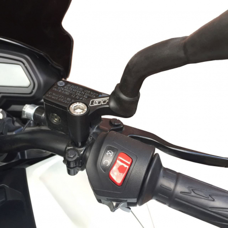 BAJAJ DOMINAR 400          [2]