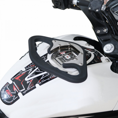 BAJAJ PULSAR NS 200          [4]
