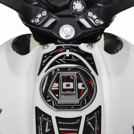 BAJAJ PULSAR NS 200          [5]