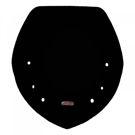 Windshield Windscreen - BMW R 1200 RT         