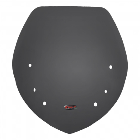 Windshield Windscreen - BMW R 1200 RT         