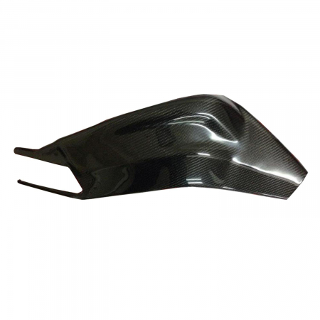 Swing Arm Cover - BMW S 1000 RR         