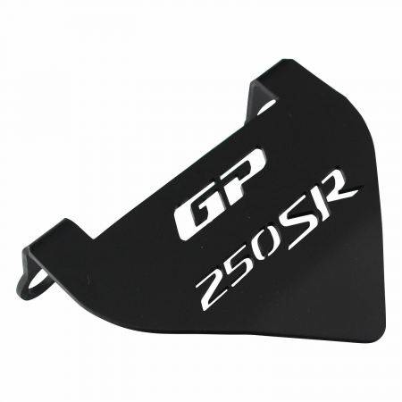 CFMOTO 250SR / 300SR          [3]