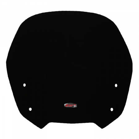 HONDA CBF 1000          [1]