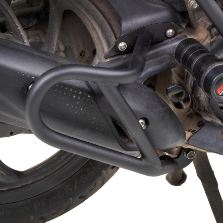 HONDA DIO          [1]