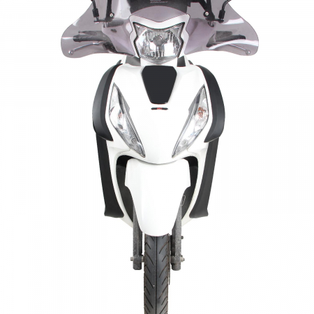 HONDA DIO          [3]