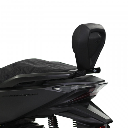 HONDA Forza 250 / Forza 300 / NSS300 FORZA         [3]