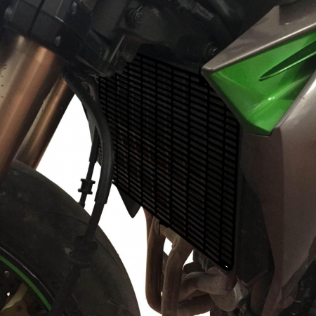 KAWASAKI Z 1000          [1]