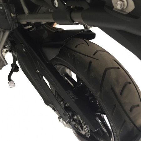 TRIUMPH TIGER 800          [3]