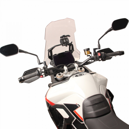 TRIUMPH Tiger 900          [3]