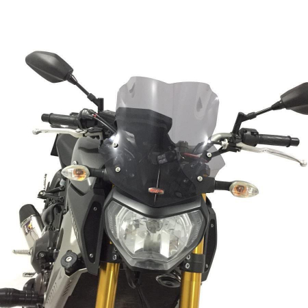 YAMAHA MT-09          [2]