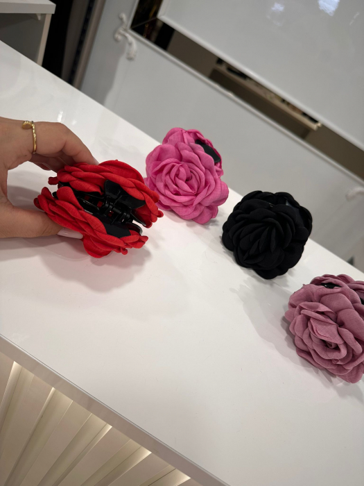 Accesoriu Par Ally [2]