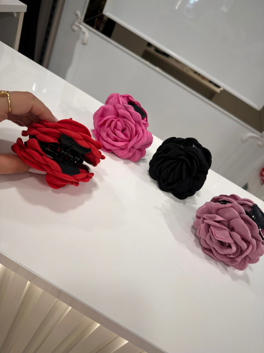 Accesoriu Par Ally [3]