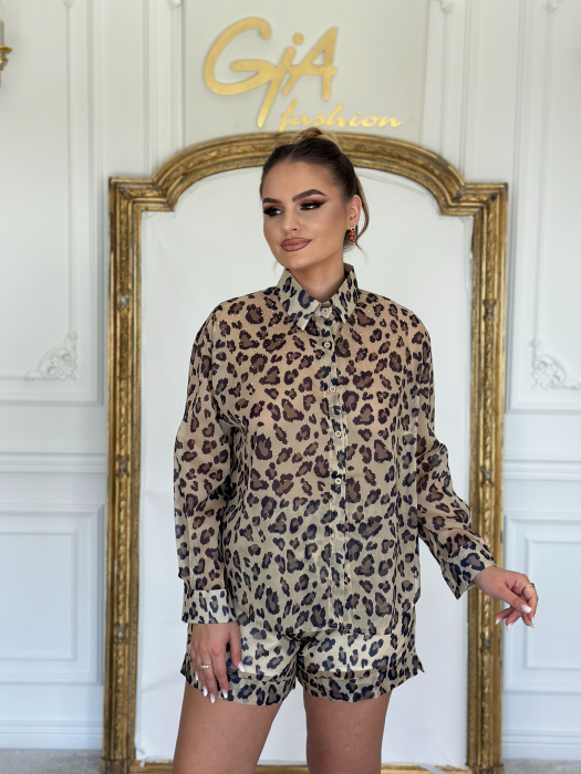 Compleu Anillesy [3]