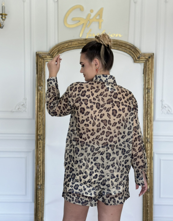 Compleu Anillesy [3]